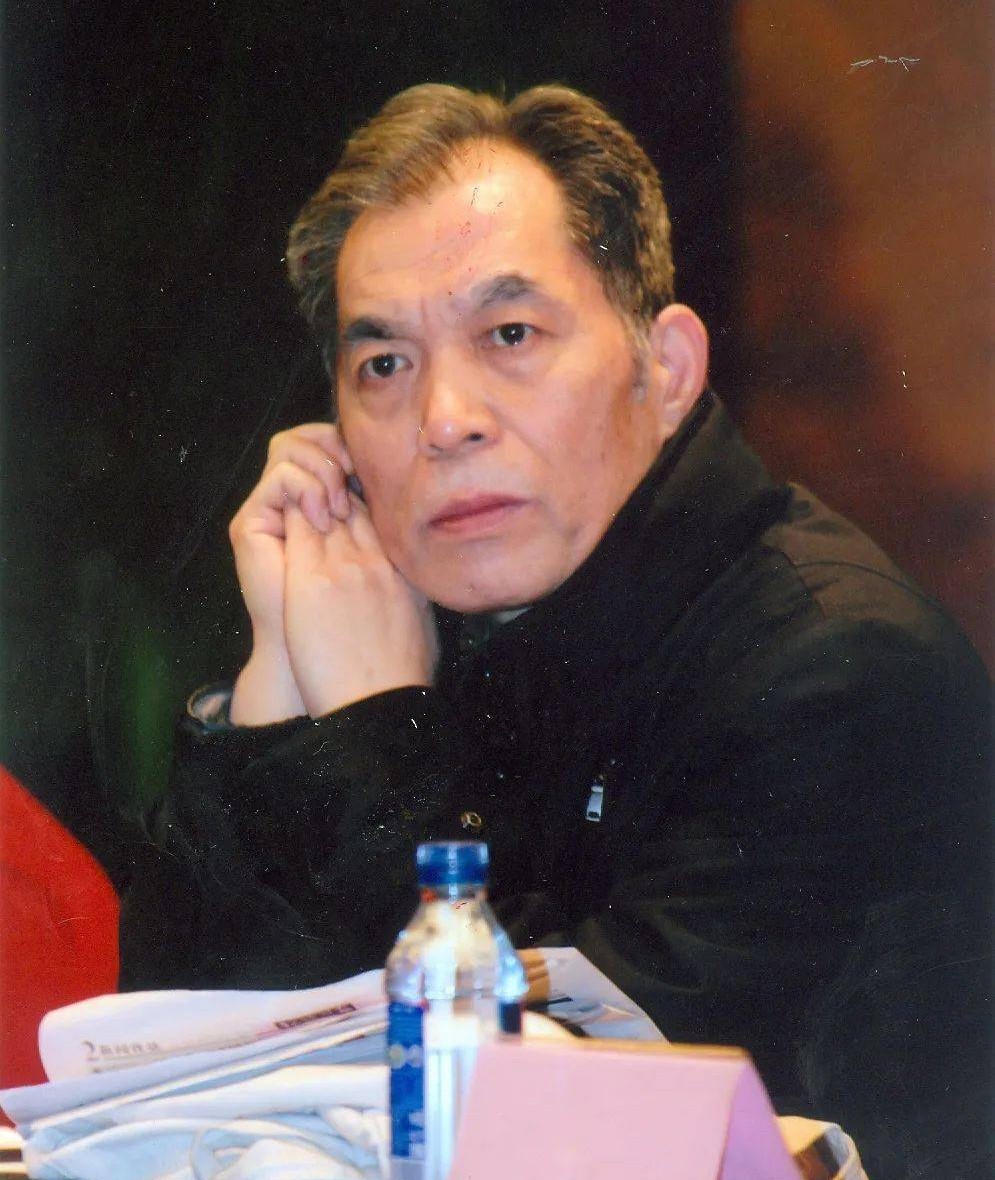 梁晓声经典封面