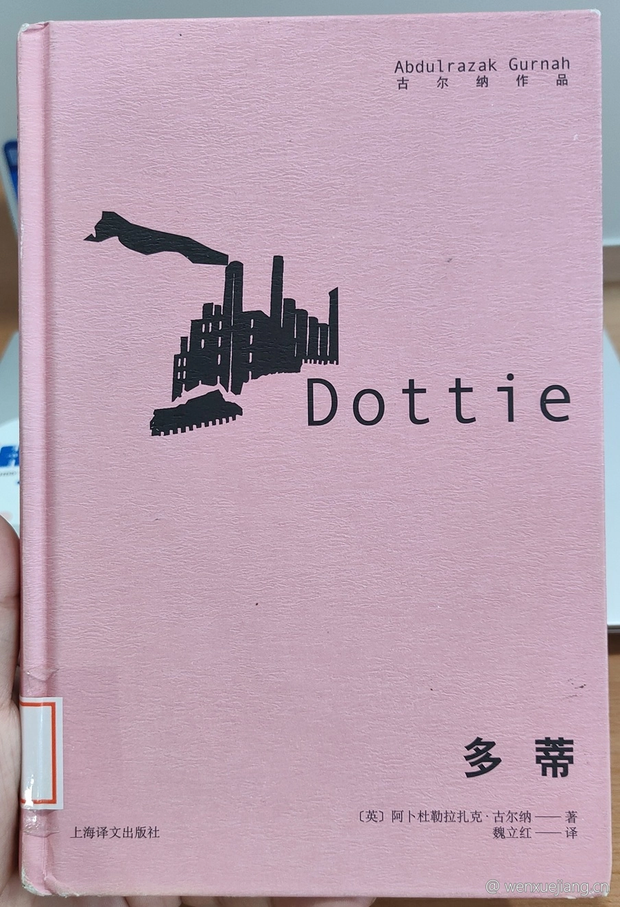 多蒂